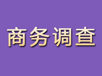 武川商务调查